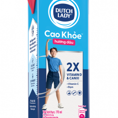 Sữa Tiệt trùng Dutch Lady  cao khỏe 170ml Dâu